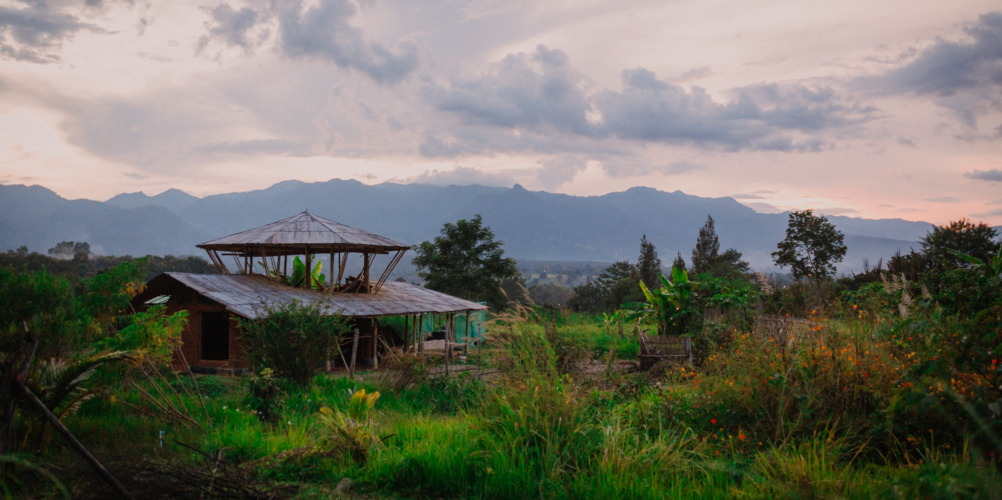 Pai Seedlings Foundation